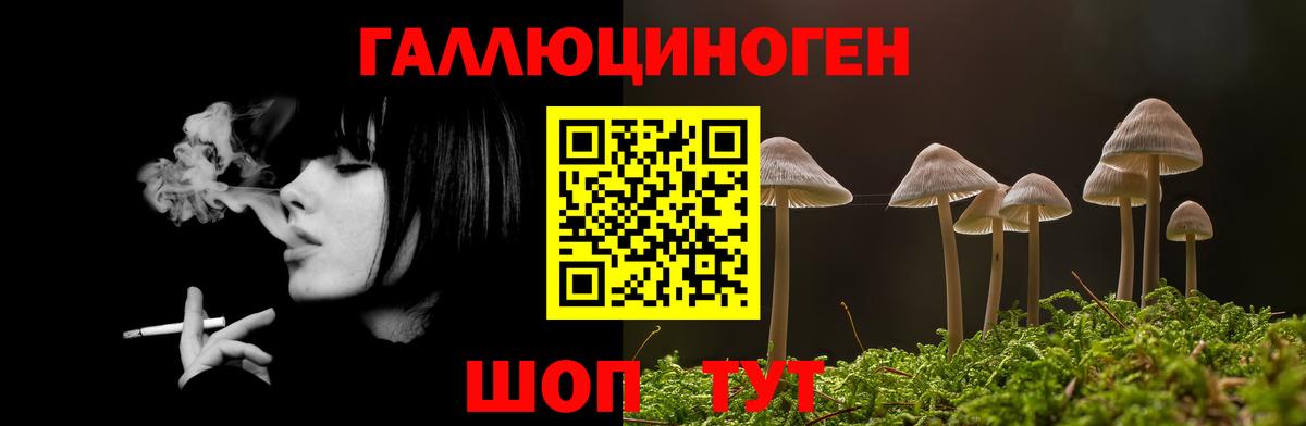 Галлюциногенные грибы Cubensis  Вход с VPN  Кизилюрт  Галлюциногенные грибы Psilocybe 